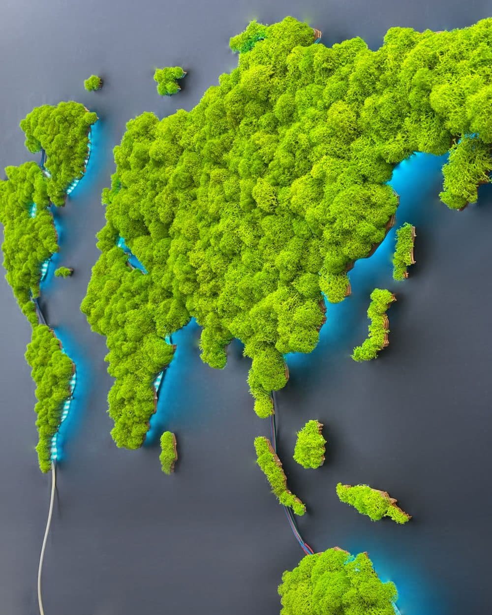 Illuminated map of the world made of mossy weed