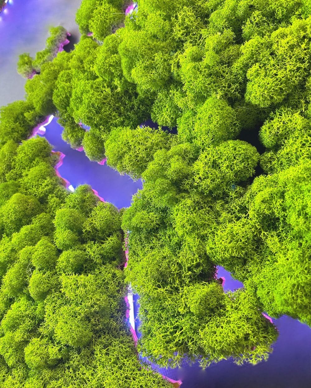 Illuminated map of the world made of mossy weed